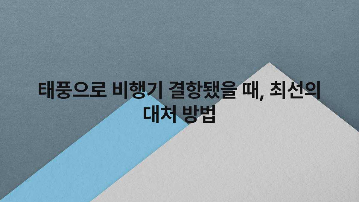 태풍으로 비행기 결항됐을 때 최선의 대처 방법
