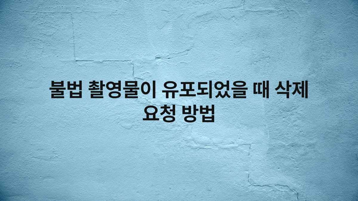 불법 촬영물이 유포되었을 때 삭제 요청 방법