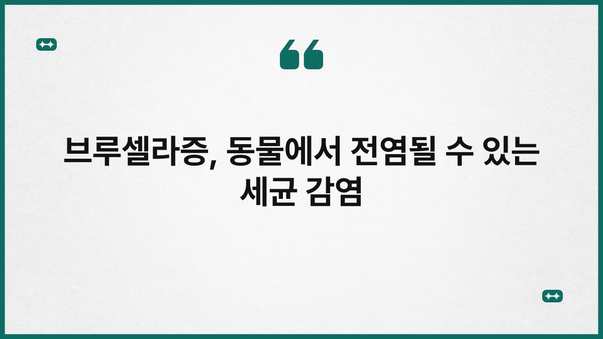 브루셀라증, 동물에서 전염될 수 있는 세균 감염