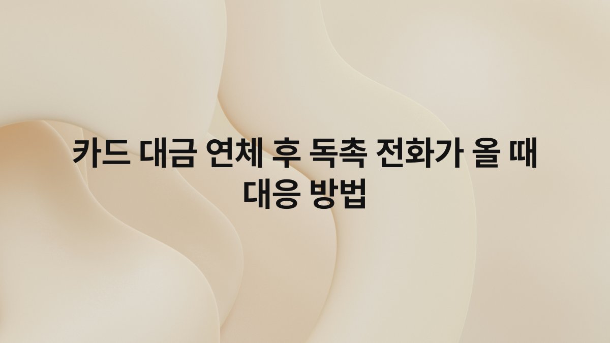 카드 대금 연체 후 독촉 전화가 올 때 대응 방법