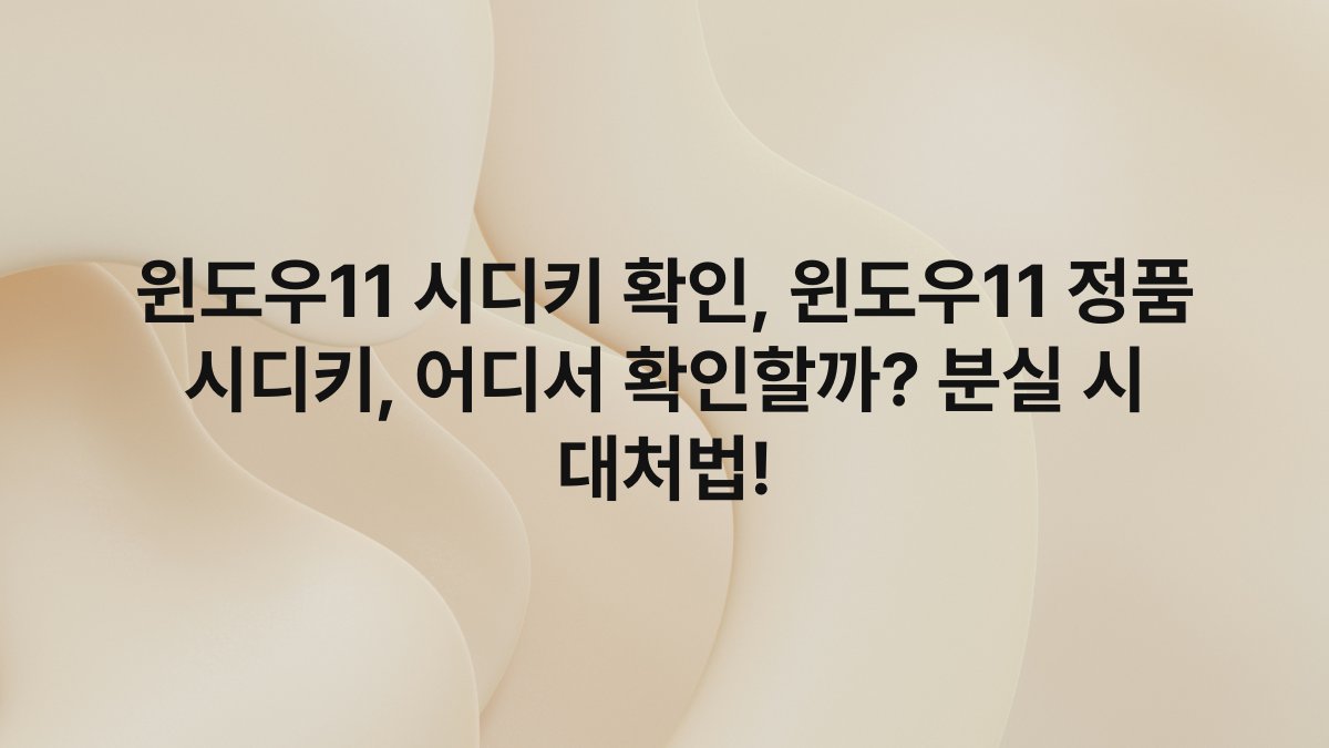 윈도우11 시디키 확인, 윈도우11 정품 시디키, 어디서 확인할까? 분실 시 대처법!