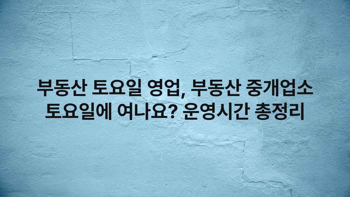 부동산 토요일 영업, 부동산 중개업소 토요일에 여나요? 운영시간 총정리