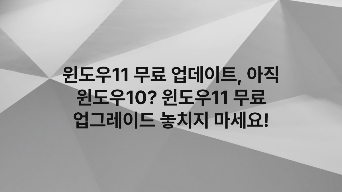 윈도우11 무료 업데이트, 아직 윈도우10? 윈도우11 무료 업그레이드 놓치지 마세요!