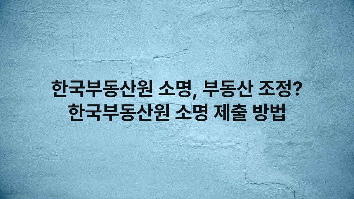 한국부동산원 소명, 부동산 조정? 한국부동산원 소명 제출 방법
