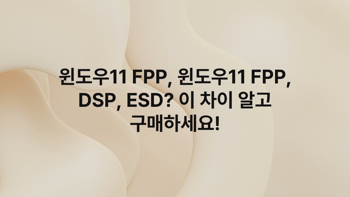 윈도우11 FPP, 윈도우11 FPP, DSP, ESD? 이 차이 알고 구매하세요!