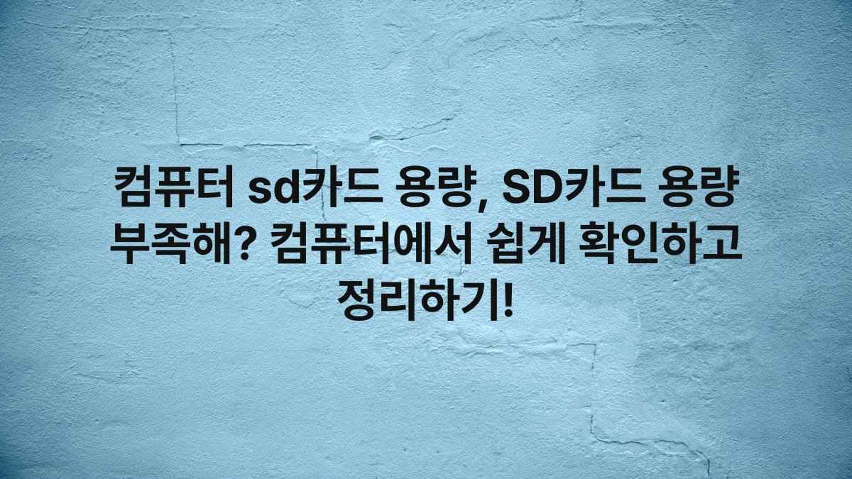 컴퓨터 sd카드 용량, SD카드 용량 부족해? 컴퓨터에서 쉽게 확인하고 정리하기!
