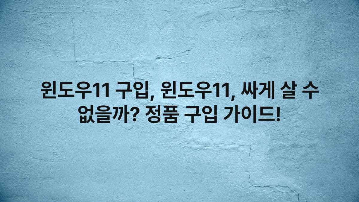 윈도우11 구입, 윈도우11, 싸게 살 수 없을까? 정품 구입 가이드!