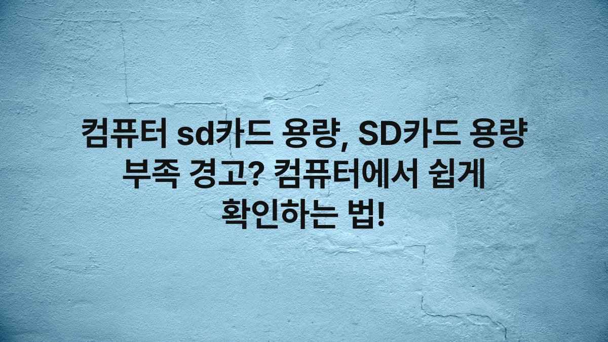 컴퓨터 sd카드 용량, SD카드 용량 부족 경고? 컴퓨터에서 쉽게 확인하는 법!