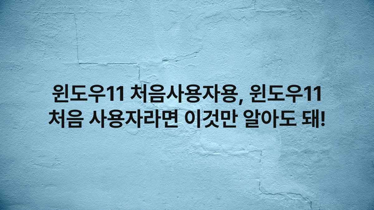 윈도우11 처음사용자용, 윈도우11 처음 사용자라면 이것만 알아도 돼!