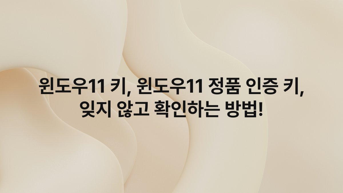 윈도우11 키, 윈도우11 정품 인증 키, 잊지 않고 확인하는 방법!