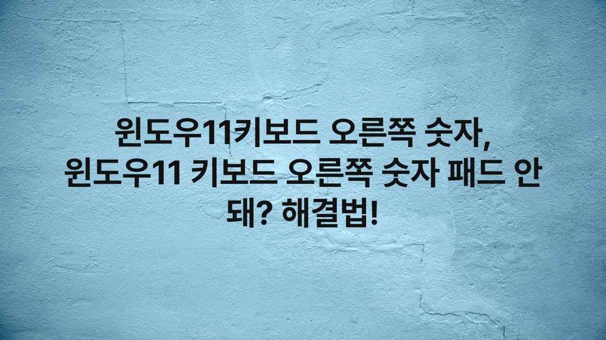 윈도우11키보드 오른쪽 숫자, 윈도우11 키보드 오른쪽 숫자 패드 안 돼? 해결법!